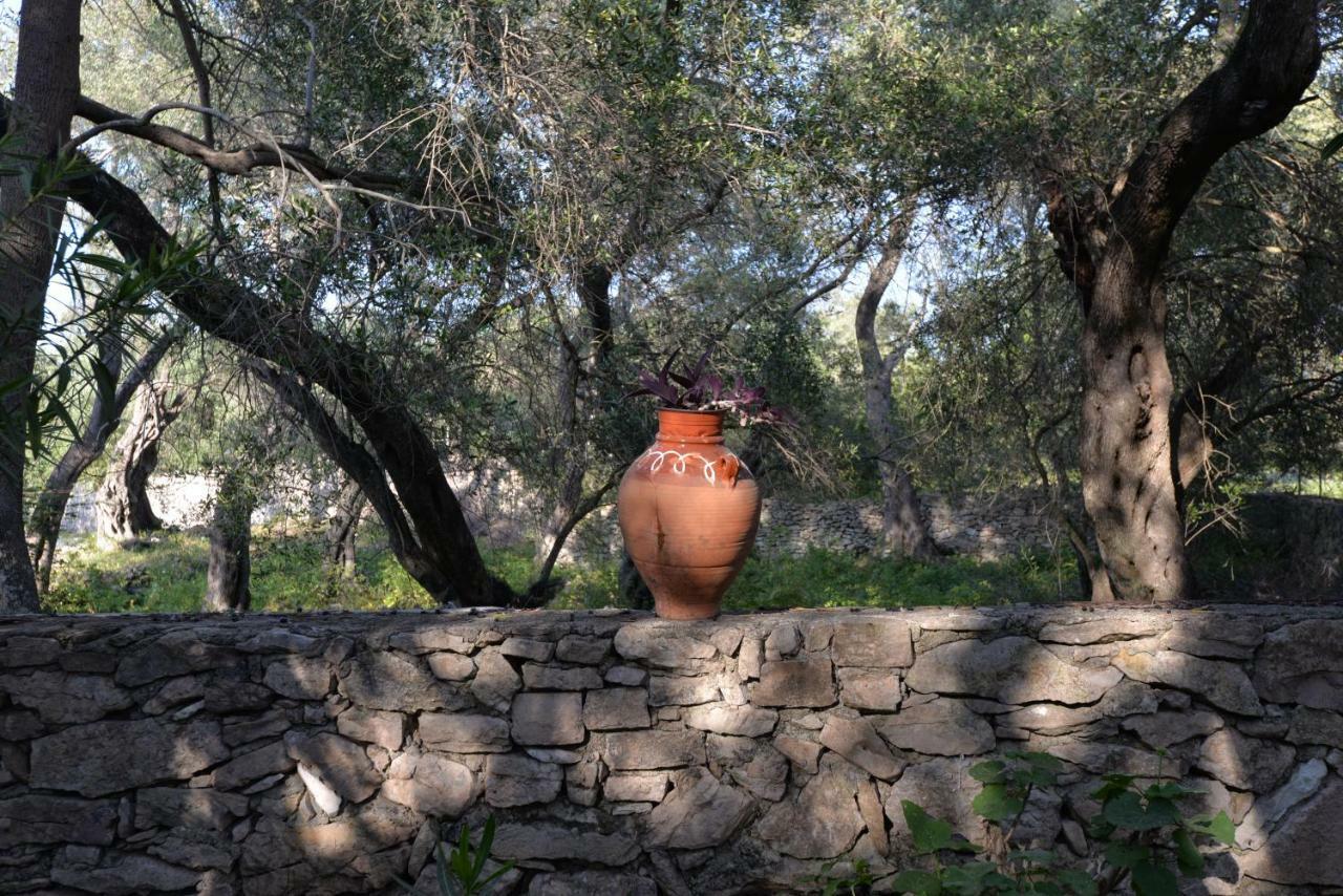 Mikroulis Residence Mastoratika エクステリア 写真